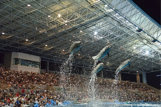 名古屋港水族館「ナイトアクアリウム」