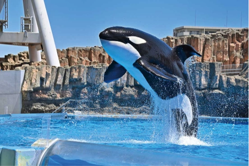 名古屋港水族館「ナイトアクアリウム」