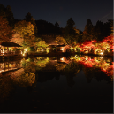 おでかけ INFO：東山動植物園