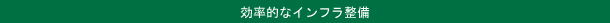 効率的なインフラ整備